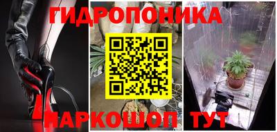 герыч Бийск