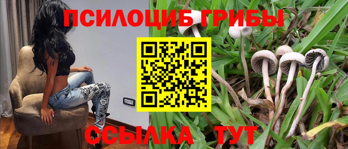 Псилоцибиновые грибы Psilocybe  Галлюциногенные грибы ЛСД  Вход с VPN  Ивантеевка 
